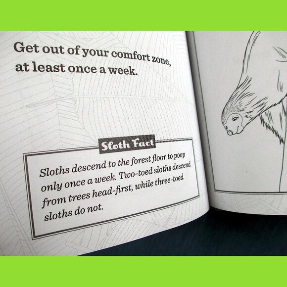 Book: Life Lessons from a Sloth, by Heneghan, Mills, & Sturgeon - Picture 9 of 13